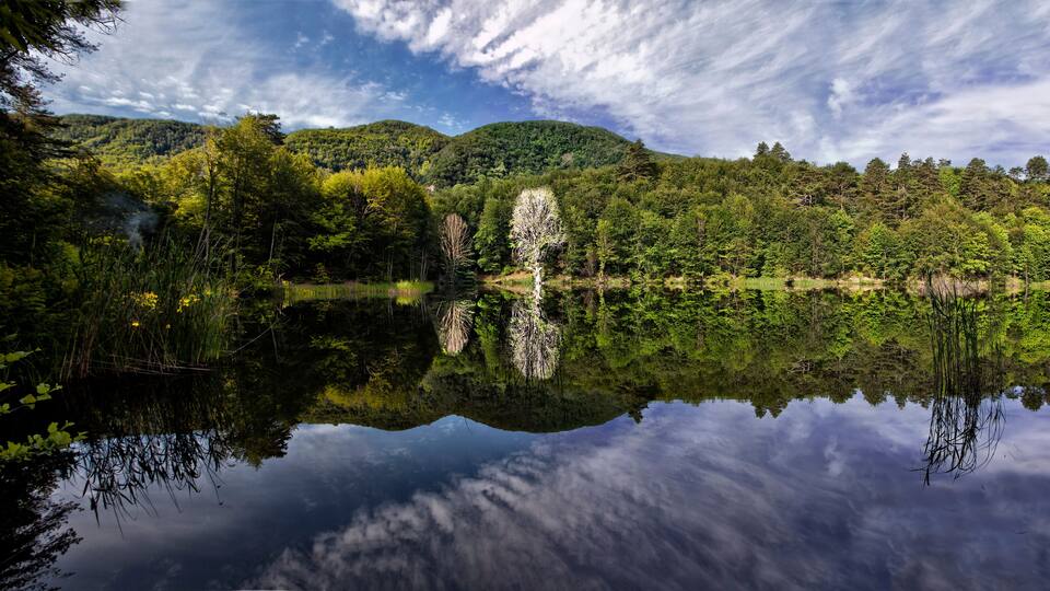 A calm lake reflecting trees and mountains.