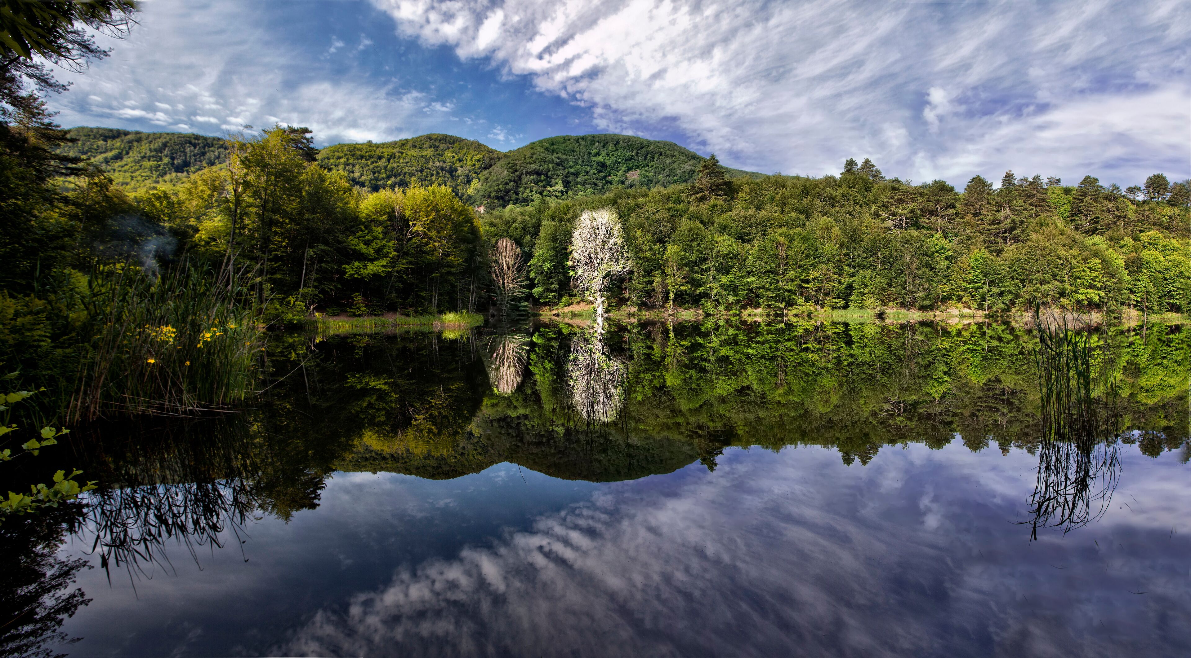 A calm lake reflecting trees and mountains.