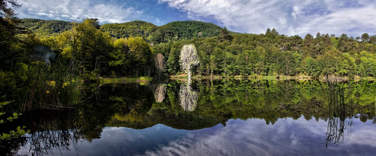 A calm lake reflecting trees and mountains.
