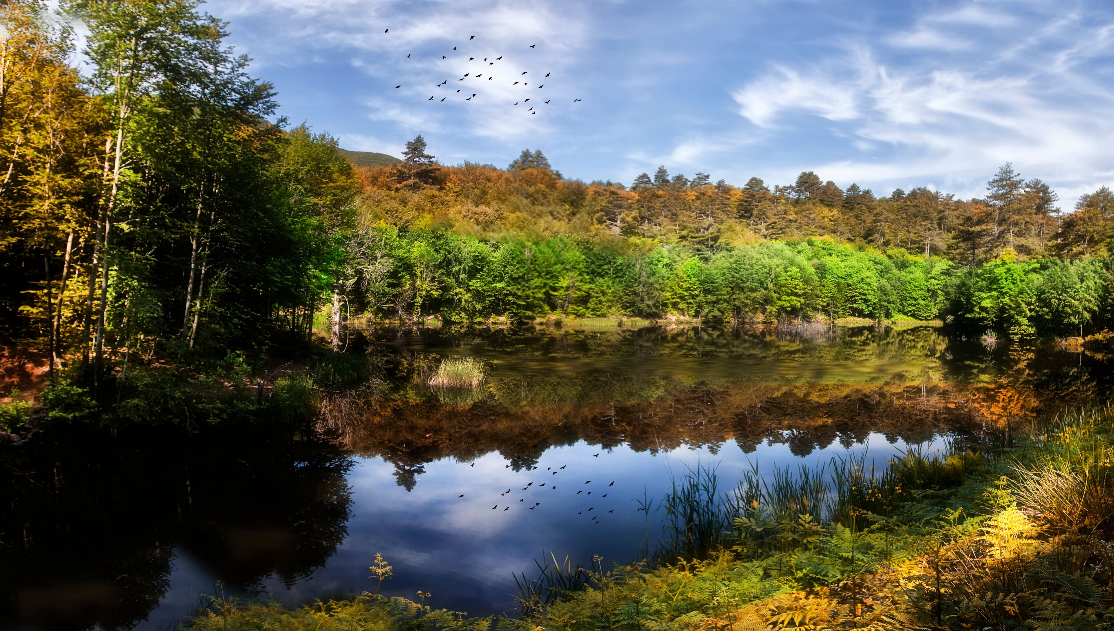 Dipsiz Lake, surrounded by forest, there are simple camping and picnic areas on the shore of this lake with nature view.