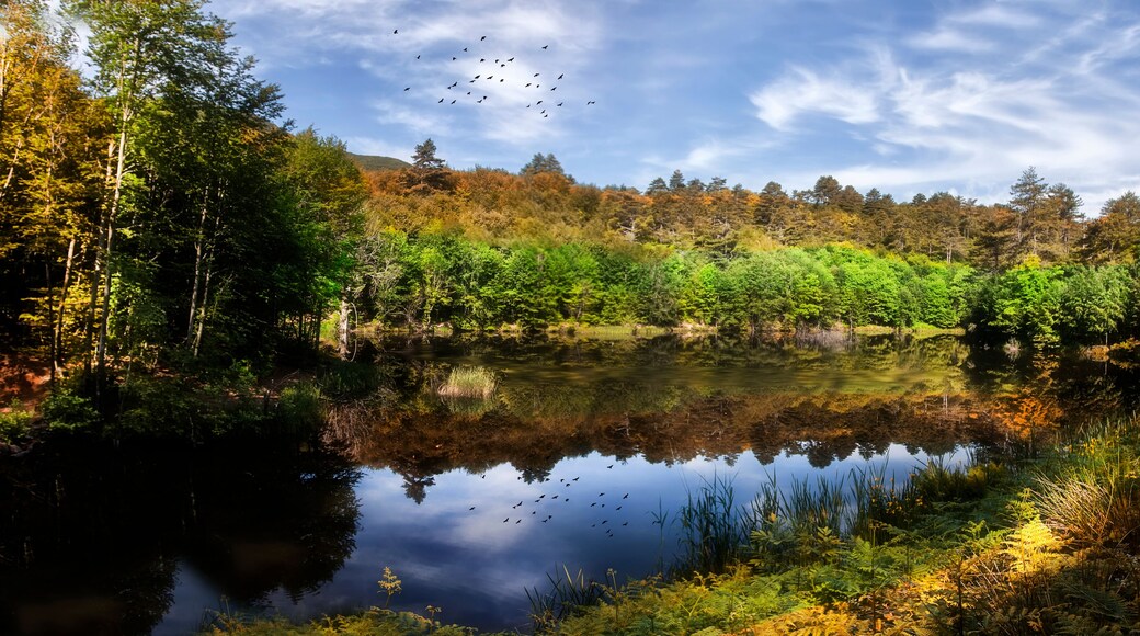Dipsiz Lake, surrounded by forest, there are simple camping and picnic areas on the shore of this lake with nature view.