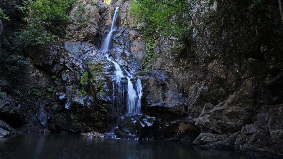 A waterfall cascading over rocks in a forested area.