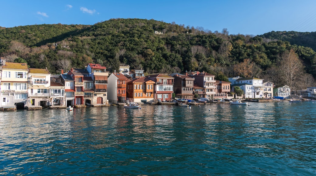 Anadolu Kavağı Mahallesi