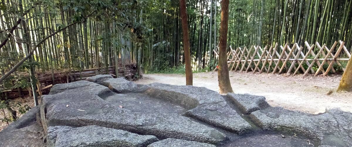 A stone structure with circular depressions in a forested area.