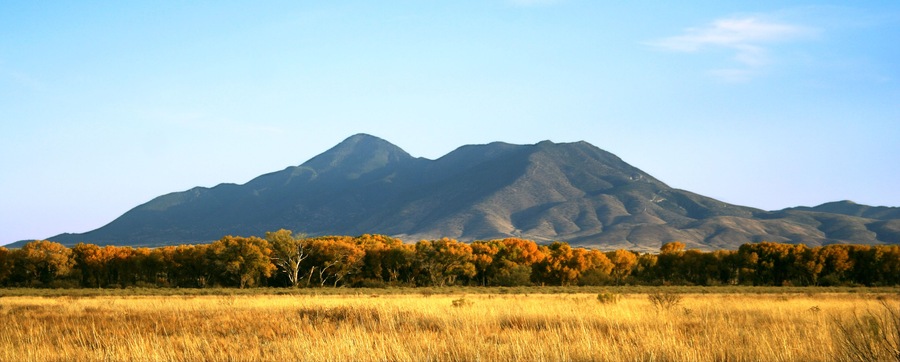 Autumn Along the San Pedro River Below San Jose Peak