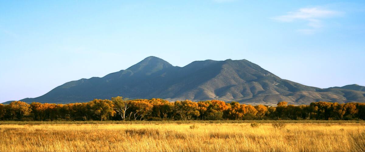 A mountain range with autumn-colored trees in the foreground.