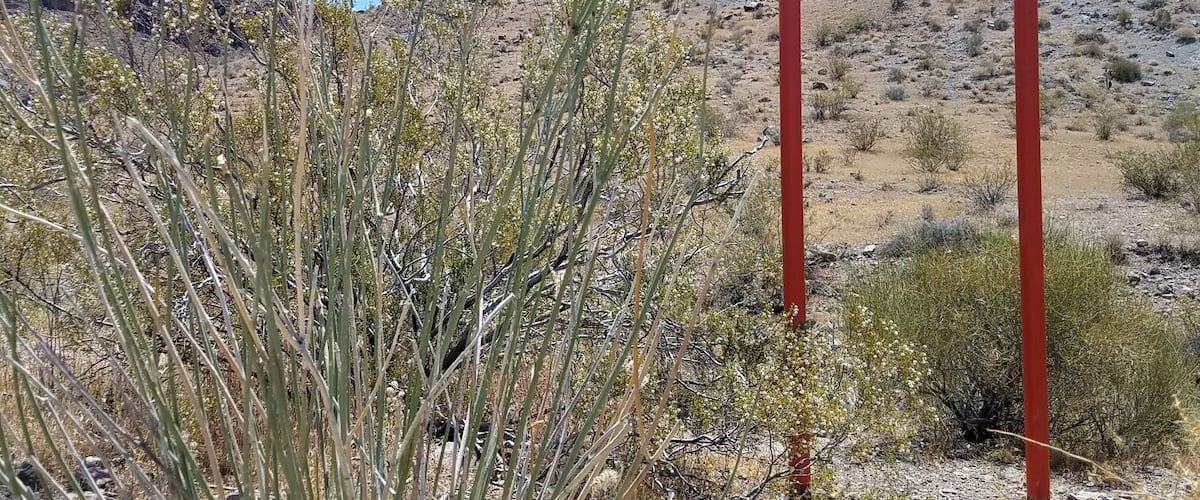 On my way to Oatman, AZ to see the donkeys in the streets of Oatman an old mining town