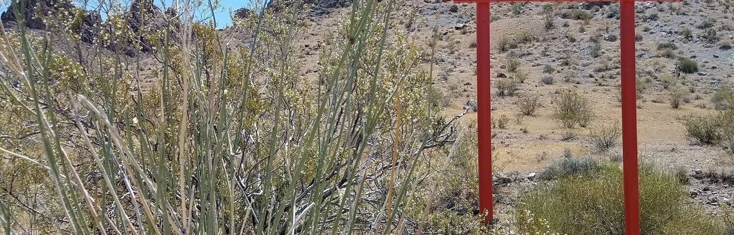 On my way to Oatman, AZ to see the donkeys in the streets of Oatman an old mining town