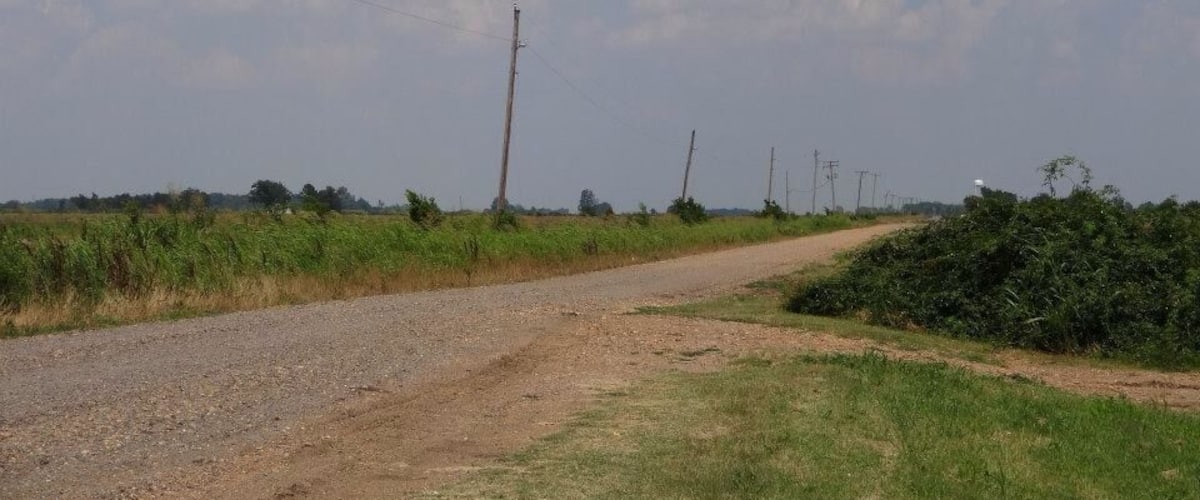 A rural dirt road with power lines, greenery, and a clear sky.