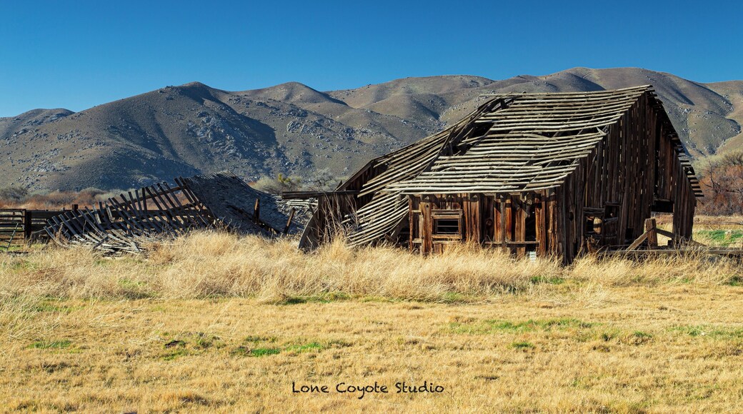 I love these old wooden structures. Especially in this state of collapse. The same thought always comes to me. “What were the people like that built this and how did they live their lives?”
#impactoccreativeconference #ruralliving #thrivingchristianartists #ruralcalifornia #californiaphotography #californiasierras #kerncounty #wonderingphotographies #kernvalley #weldon #sierramountains #lakeisabella #californiaroadtrip #californiascenery #offroadphotography #wastingaway #counrtylife #countrylifephotos #beautyintheordinary #lonecoyotestudio #beautyintheraw #beautifulstructure #tourcalifornia #placestotravel #hiddentreasure #nealdodson #californiaroadtrip #lovingcalifornia #travelcalifornia #roadsidephotography #sunshinestateofmind