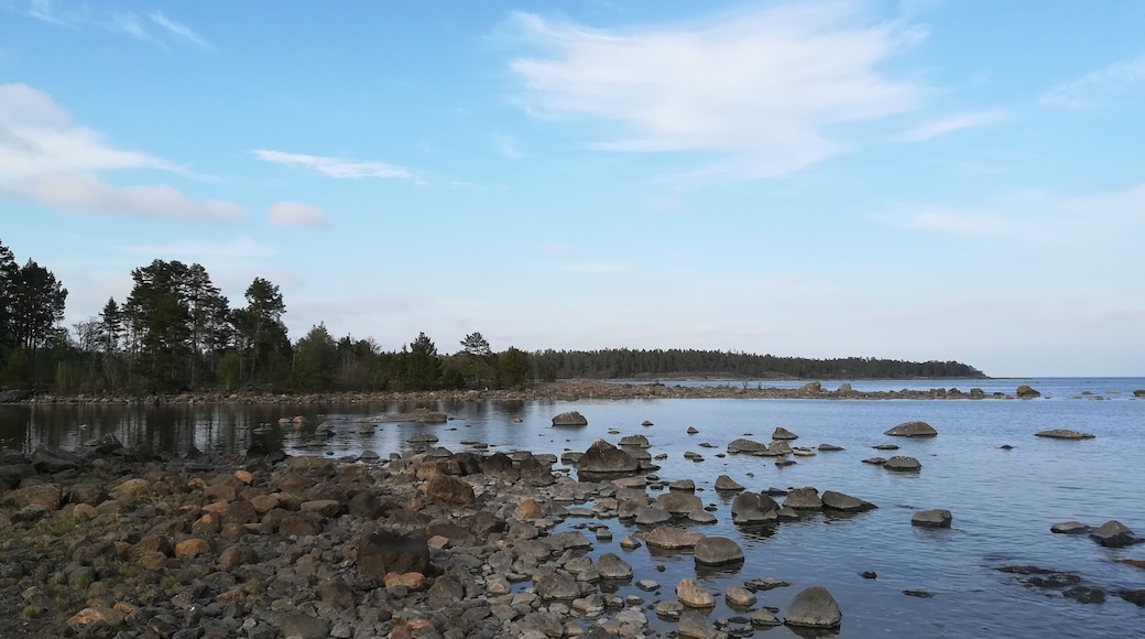 A protected forest and old iron works owned by my current employers on the east coast of Sweden. This photo is looking out to the Baltic.