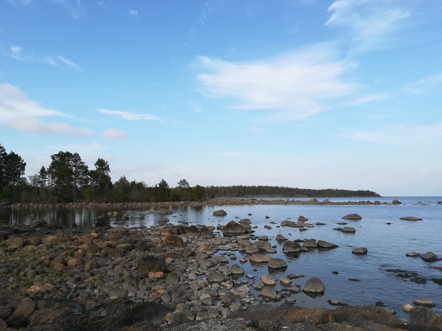 A protected forest and old iron works owned by my current employers on the east coast of Sweden. This photo is looking out to the Baltic.