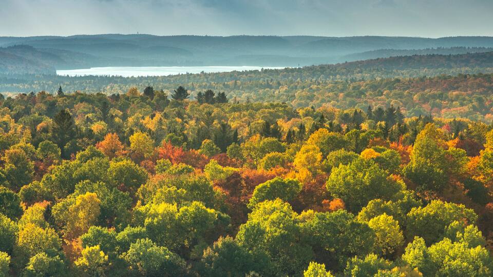 A dense forest with autumn foliage, a lake, and distant mountains.