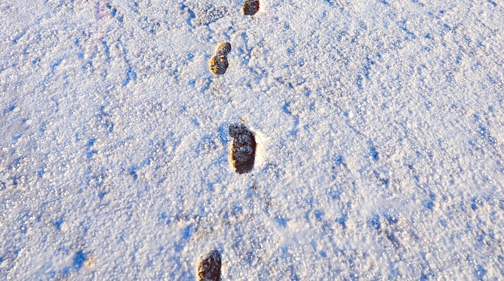 Believe it or not, my footprints are not in the snow, but on Salt Flats in The Great Rann of Kutch. This 7500 sq km (2900 sq miles) of salt marsh is in the Thar Desert in the Kutch District of Gujarat, India and is reputed to be one of the largest salt deserts in the world. #lifeatexpedia