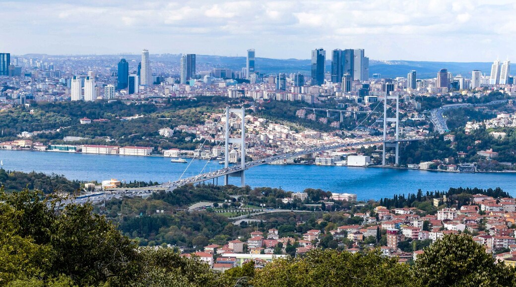 Istanbul townscape with Bosphorus Bridge