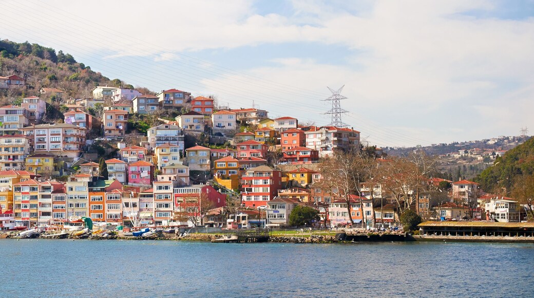 The fishing village of Rumeli Kavagi on the Bosphorus Strait,Istanbul,Turkey.