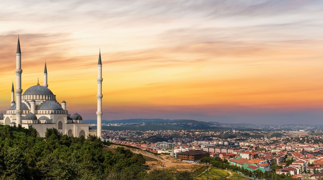 ๋ถ๊ตด๋ฃจ