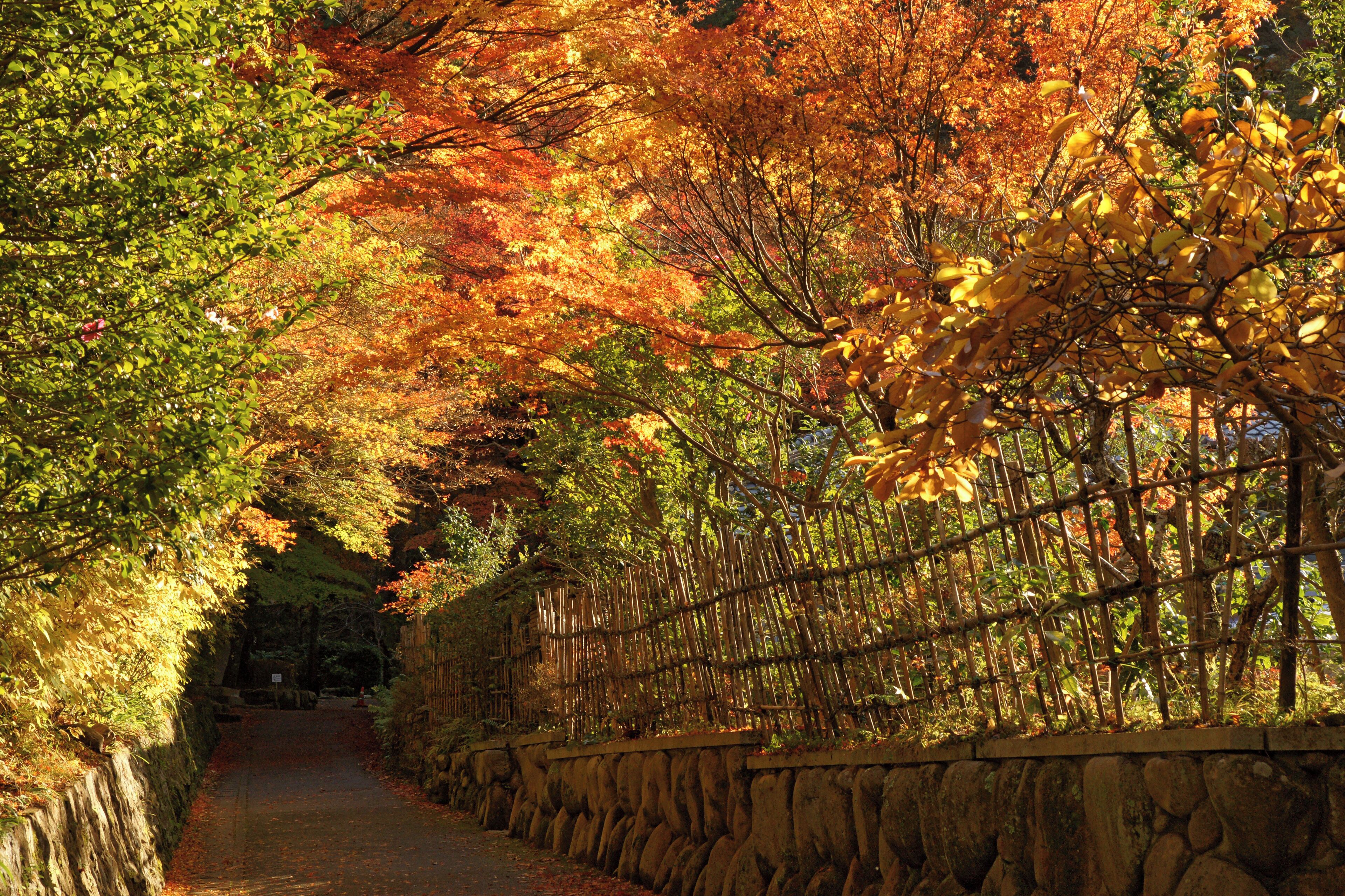 Tudumi-ga-taki Park in Arima onsen, Kobe, Hyogo prefecture, Japan