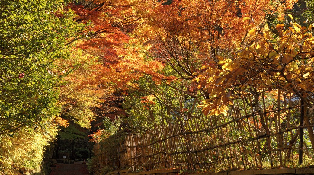Tudumi-ga-taki Park in Arima onsen, Kobe, Hyogo prefecture, Japan