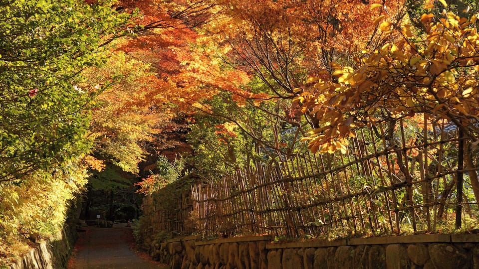 Tudumi-ga-taki Park in Arima onsen, Kobe, Hyogo prefecture, Japan