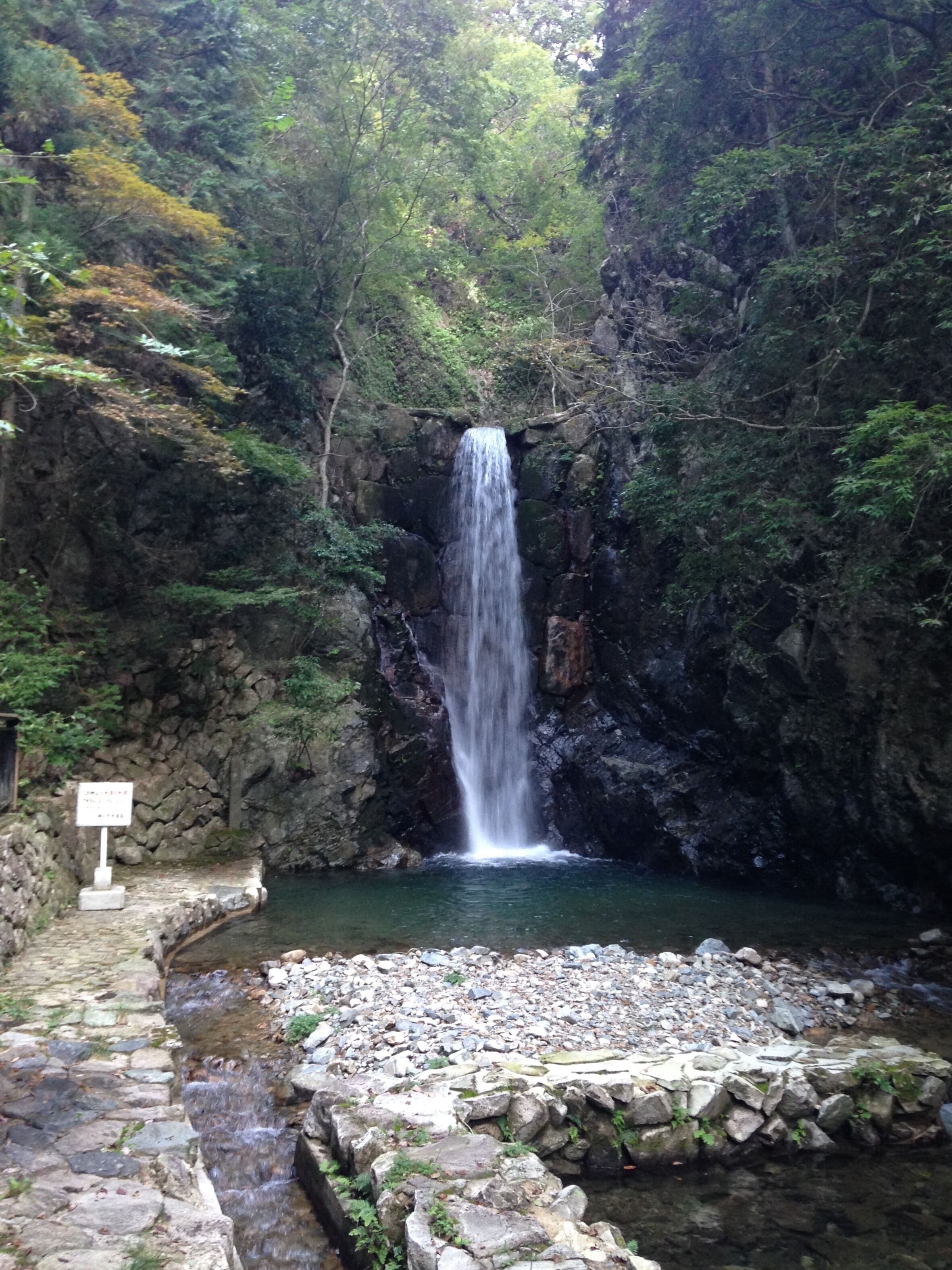 A waterfall cascading into a clear pool surrounded by rocky terrain and dense forest.