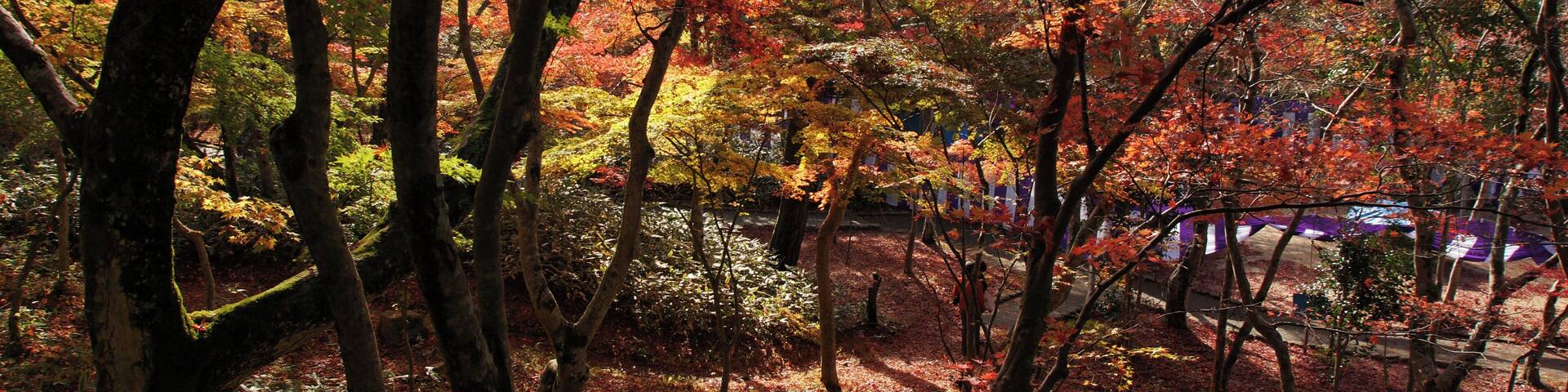 Zuihoji Park of Arima onsen in Kobe, Hyogo prefecture, Japan