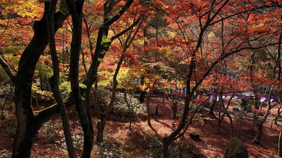 Zuihoji Park of Arima onsen in Kobe, Hyogo prefecture, Japan