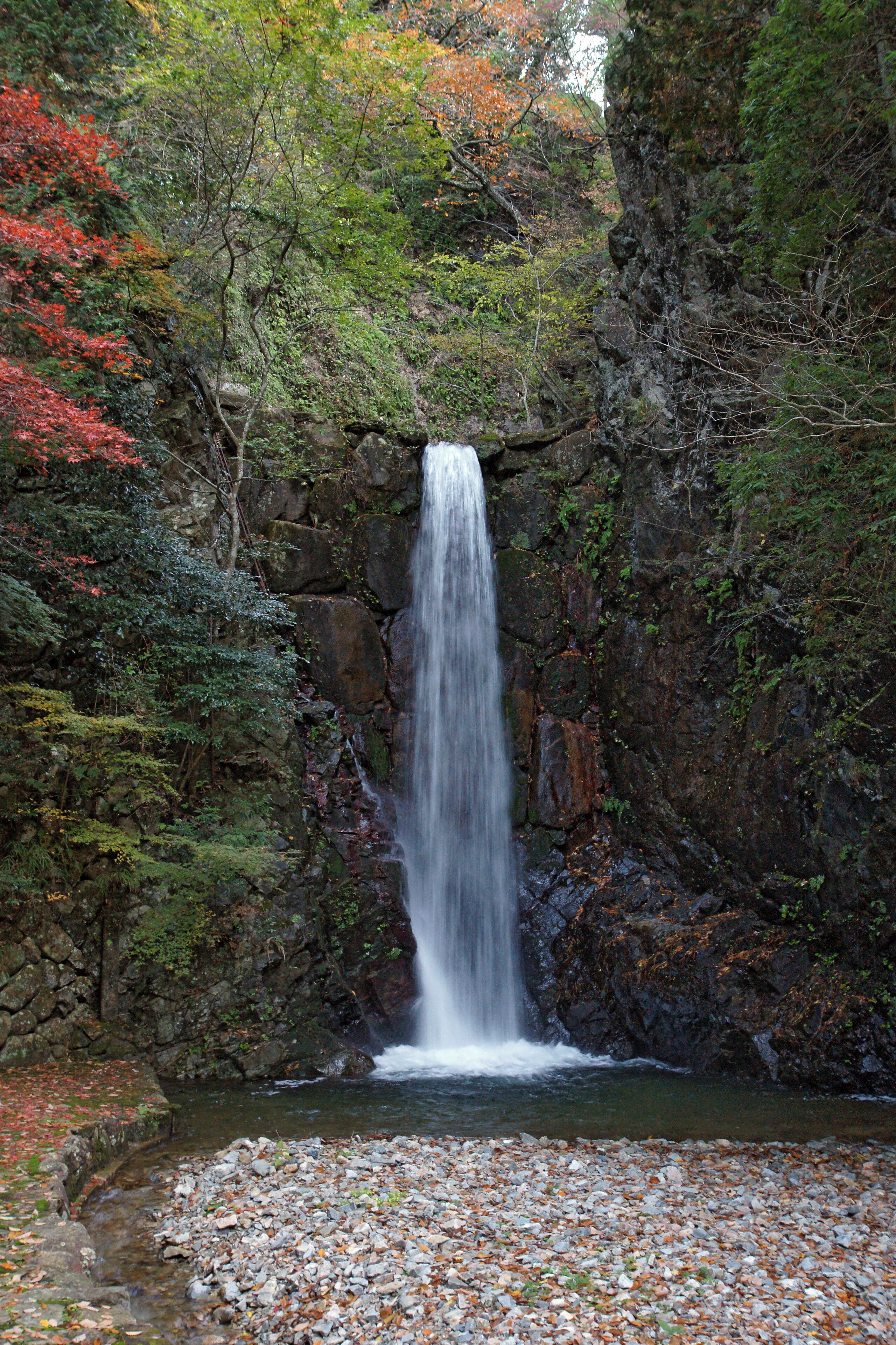 A waterfall cascading down a rocky cliff surrounded by autumn foliage.