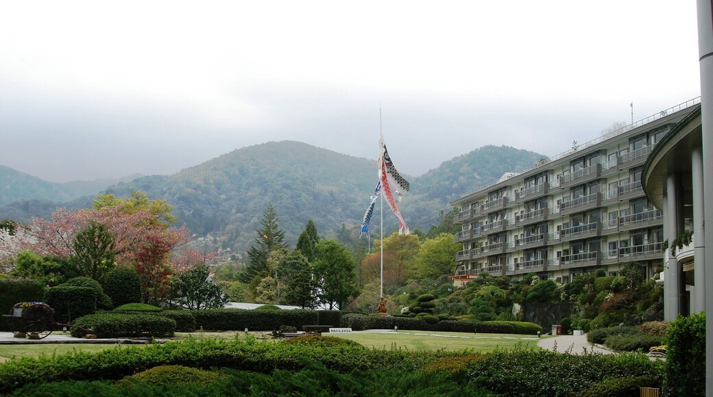 ๆ้ฆฌใฐใฉใณใใใใซ