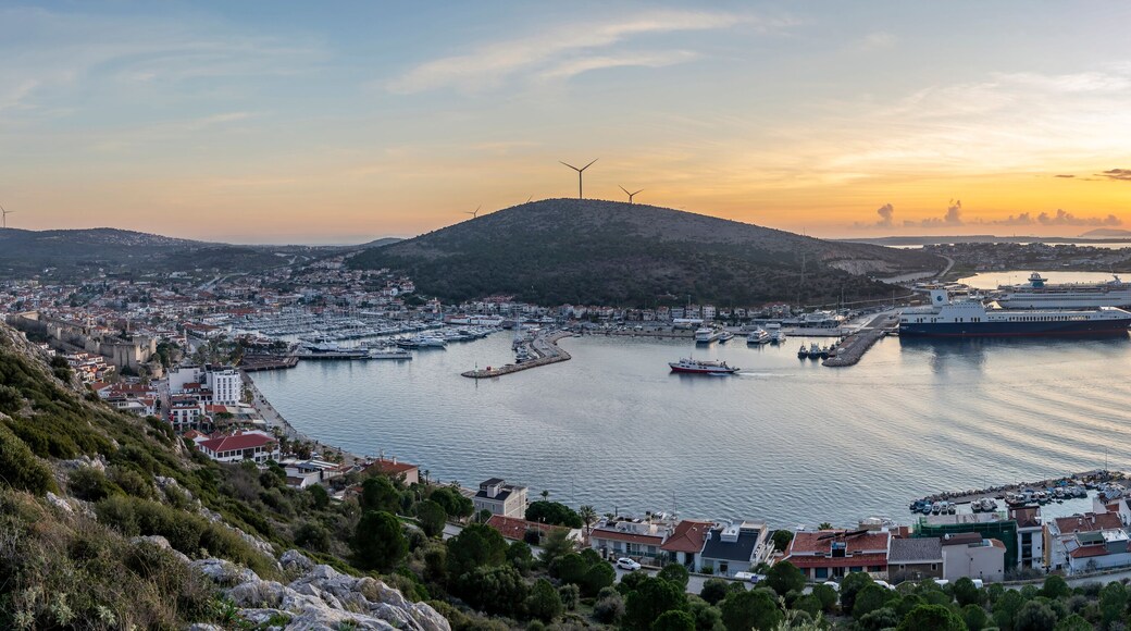 Altınyunus Mahallesi