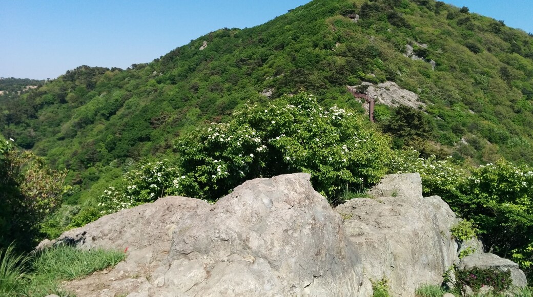 등산로에서 바라본 승학산 정상