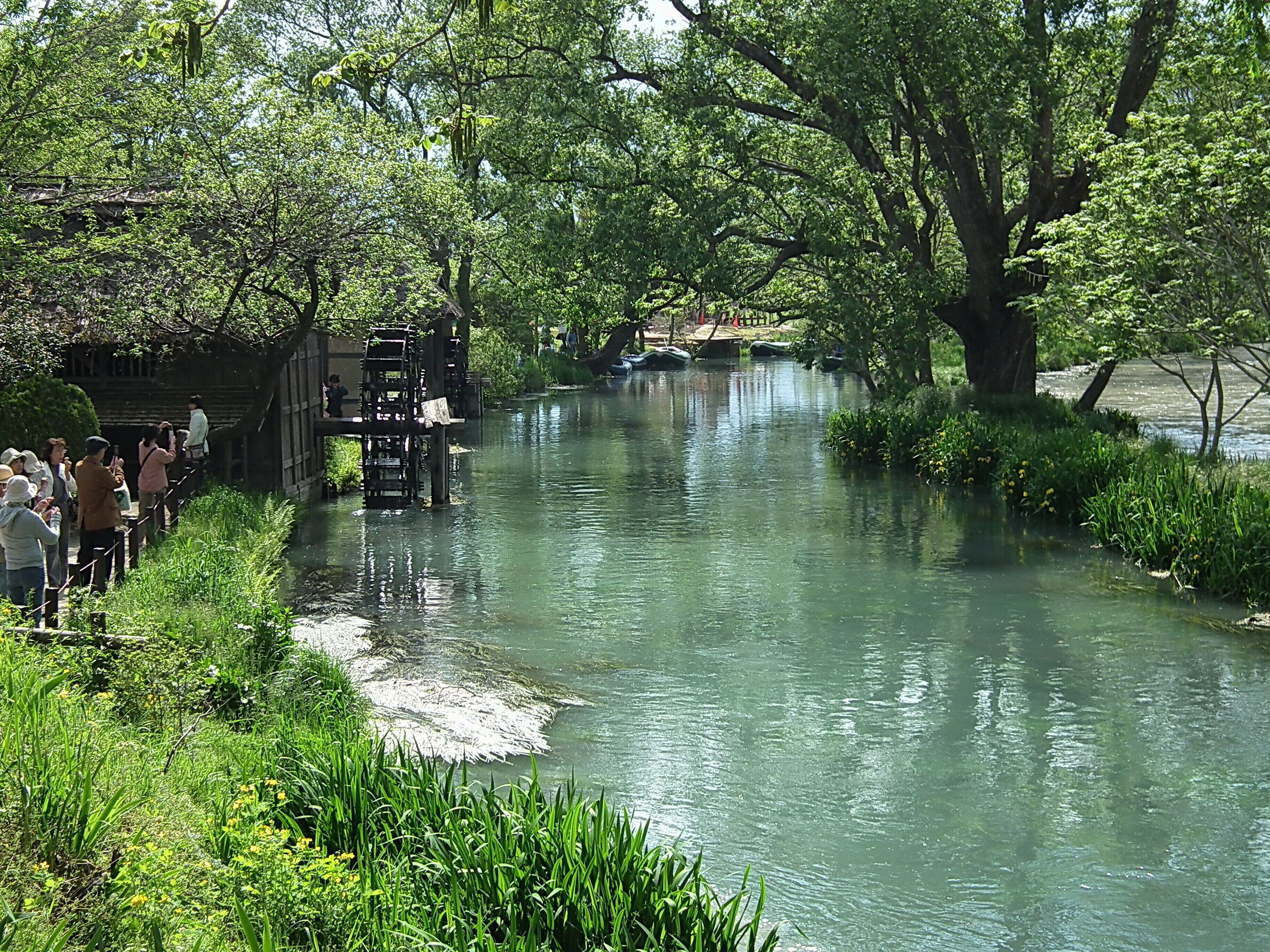 大王農場水車小屋 watermill in Daio Wasabi Farm