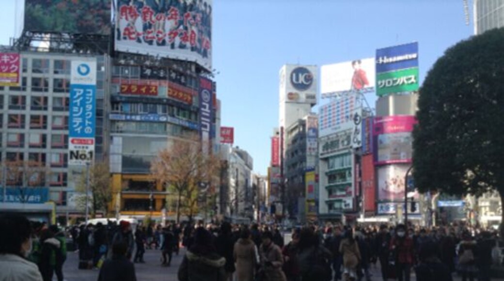 The rush of the crowd in the famous Shibuya crossing in Tokyo.