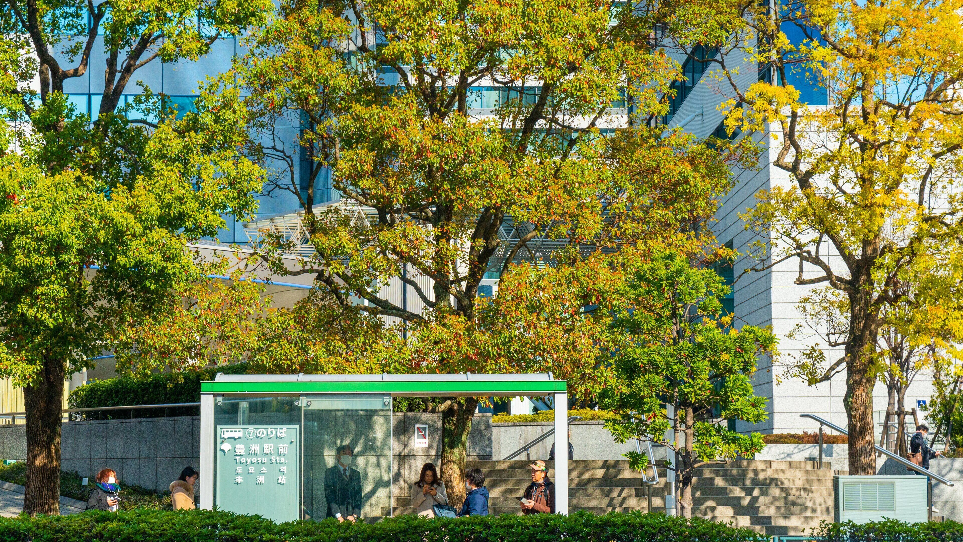 Toyosu as well as a small group of people