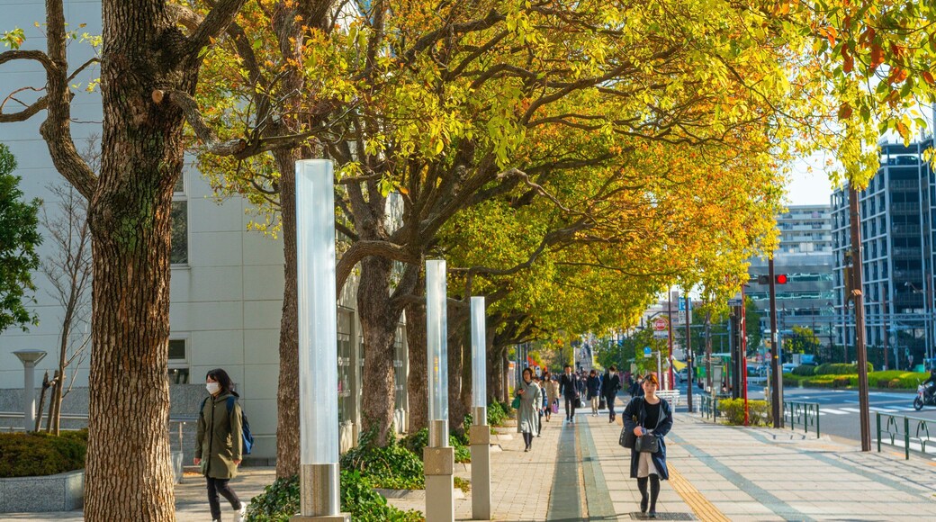 Toyosu featuring street scenes