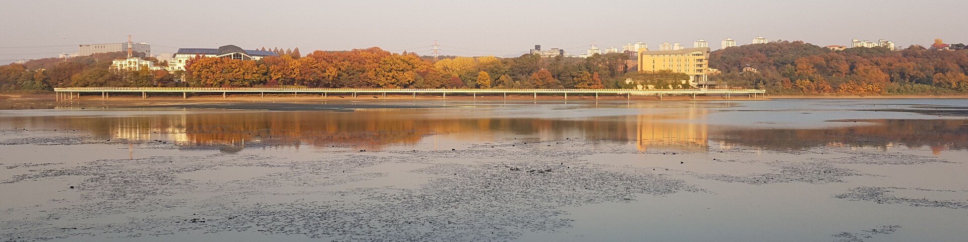 가을의 모습을 담근 기흥저수지