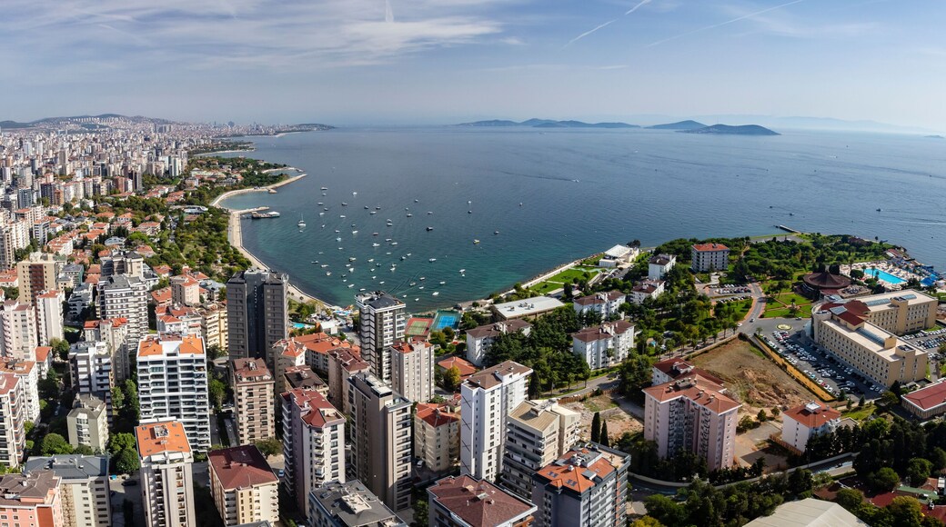 ย่านแชดดีบอสตัน