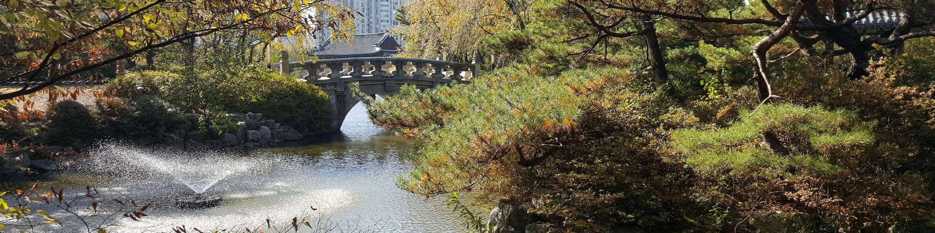 중앙공원 호수 (2)