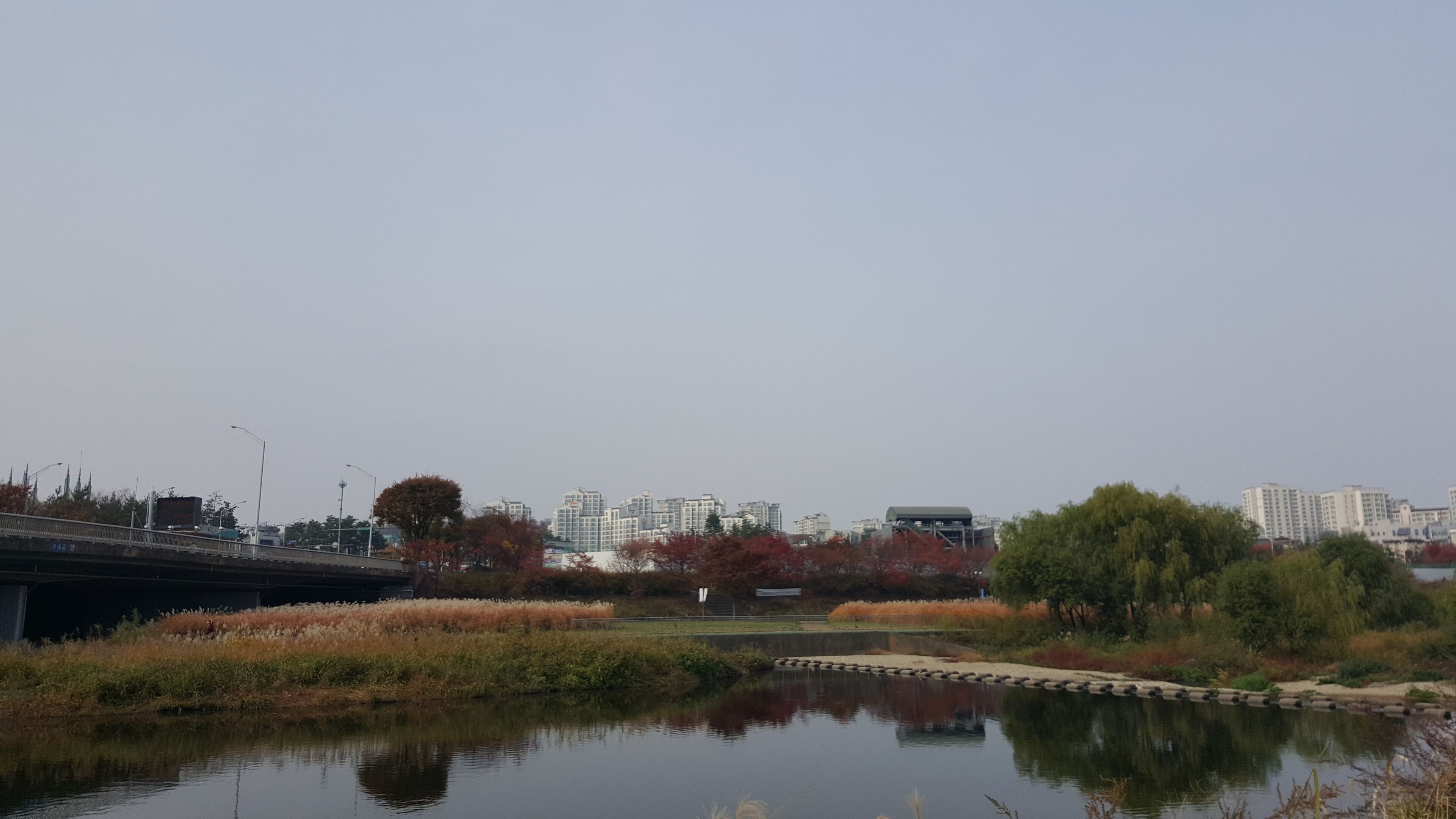 황새울공원 전경 (2)