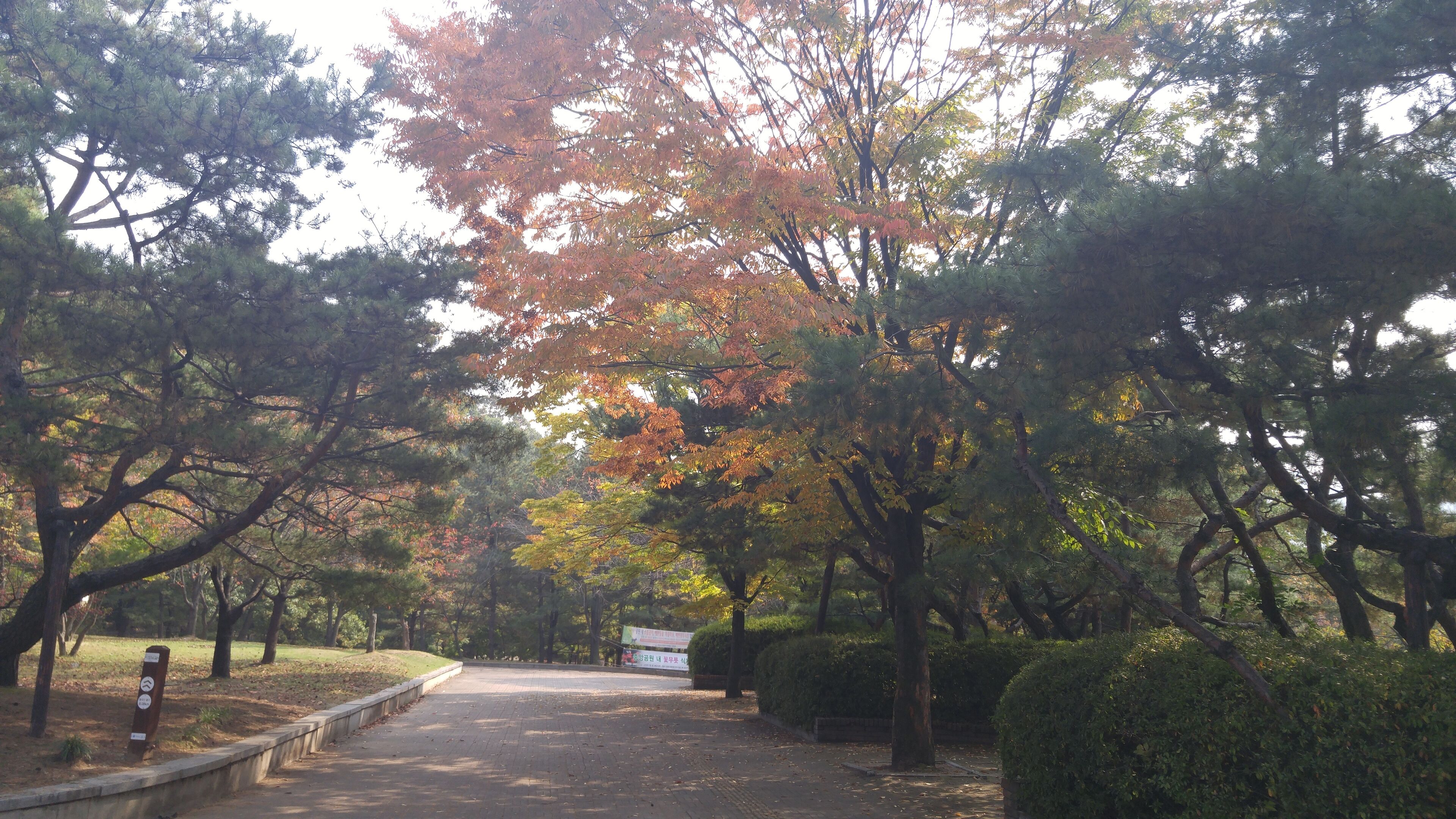 중앙공원 가을 전경 (1)