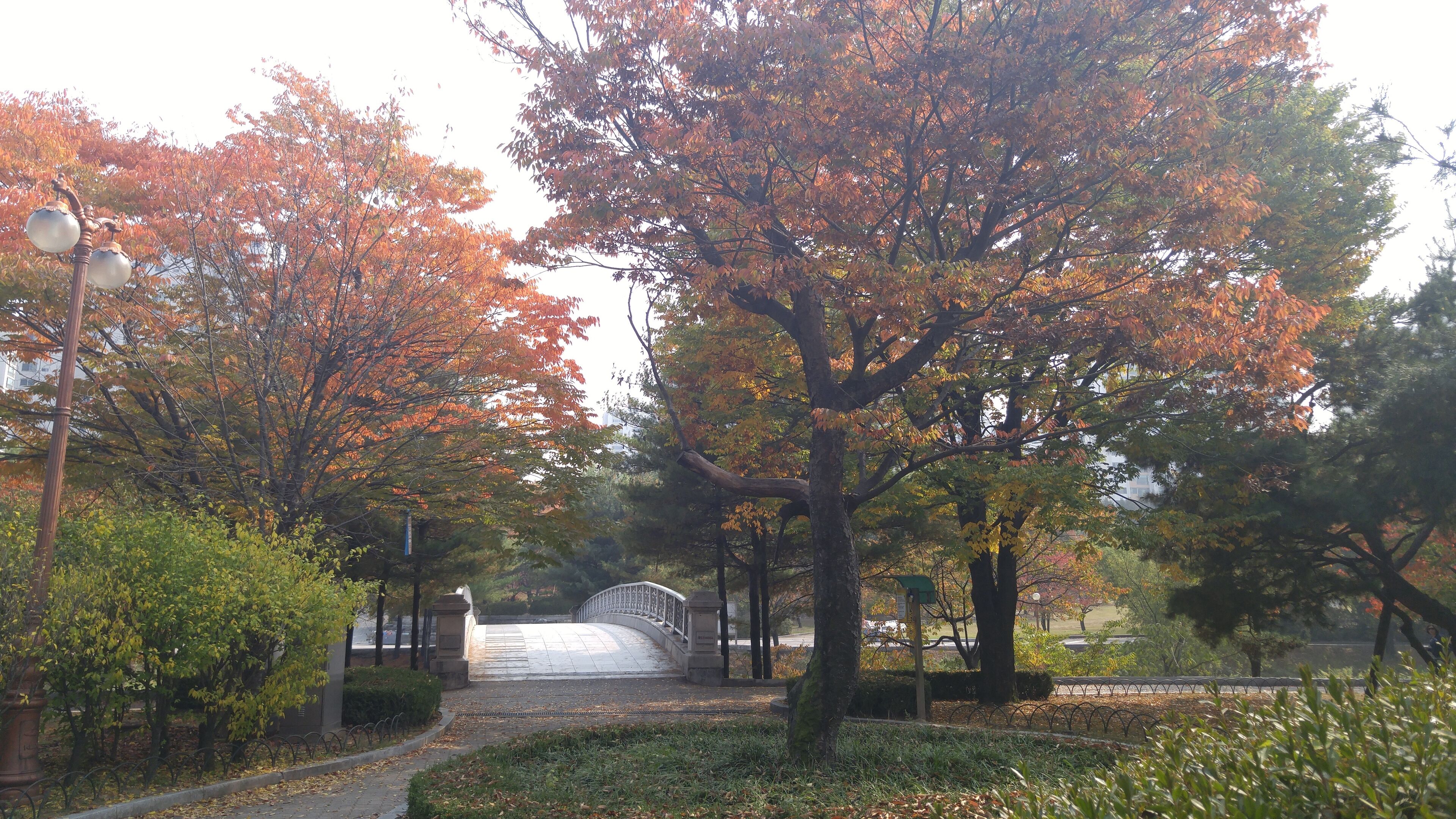 중앙공원 가을 전경 (20)