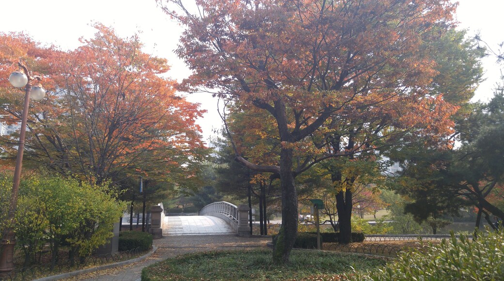 중앙공원 가을 전경 (20)