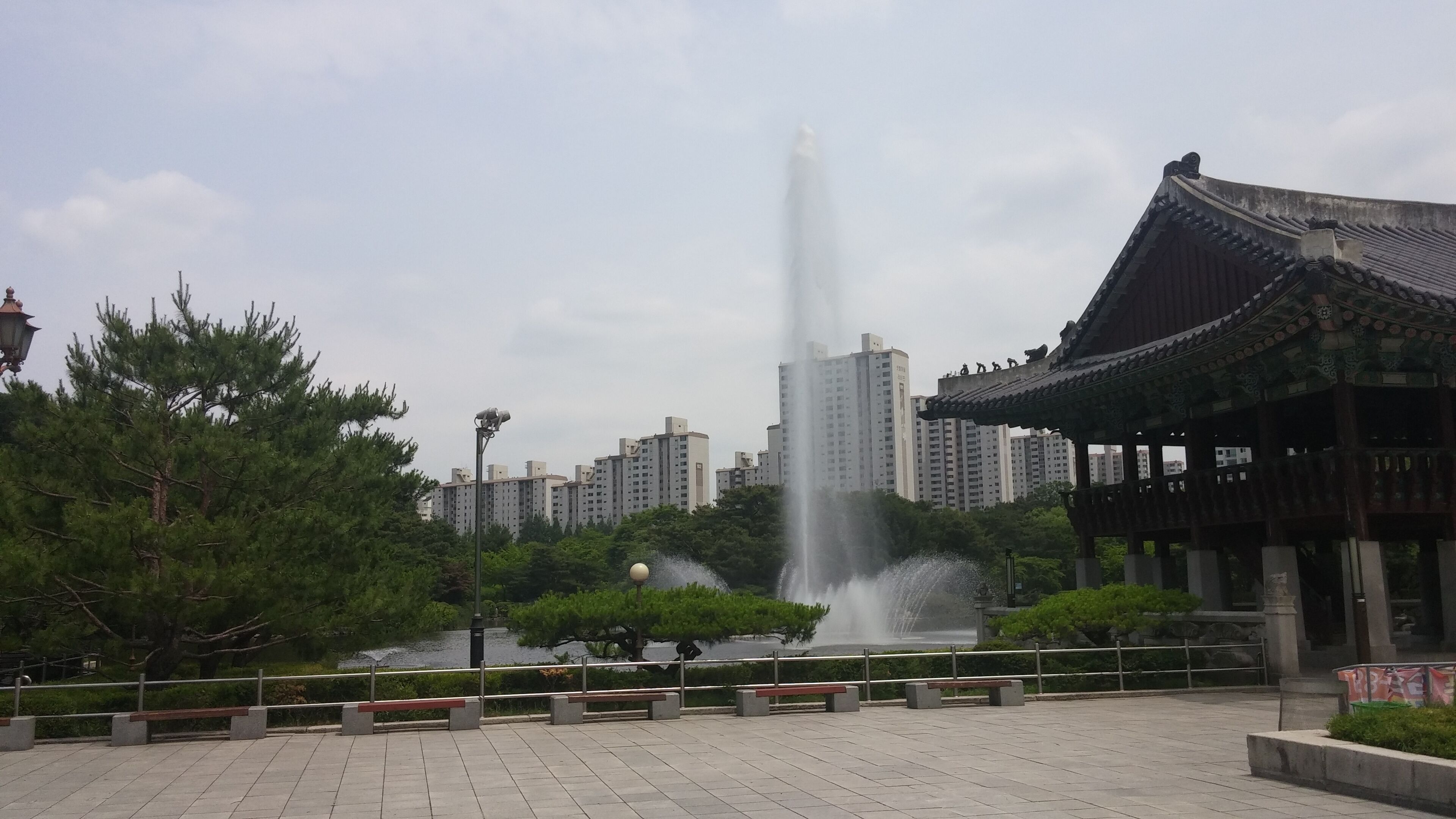 성남중앙공원-여름 (2)
