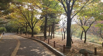 중앙공원 가을 전경