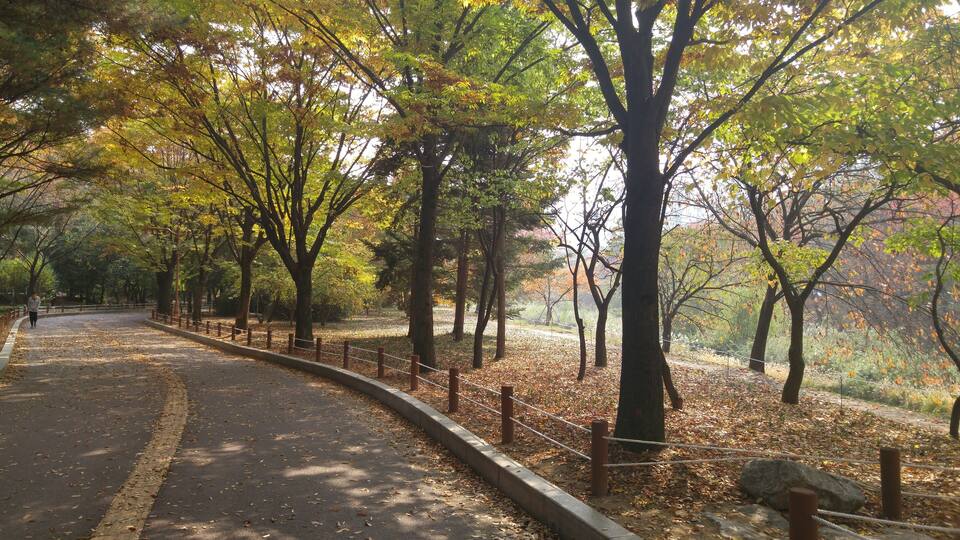 중앙공원 가을 전경 (4)