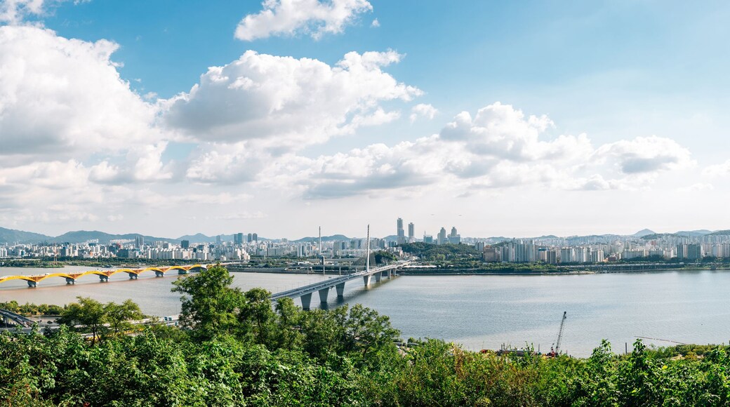 Panoramic view of Seoul city from Sky park in Korea