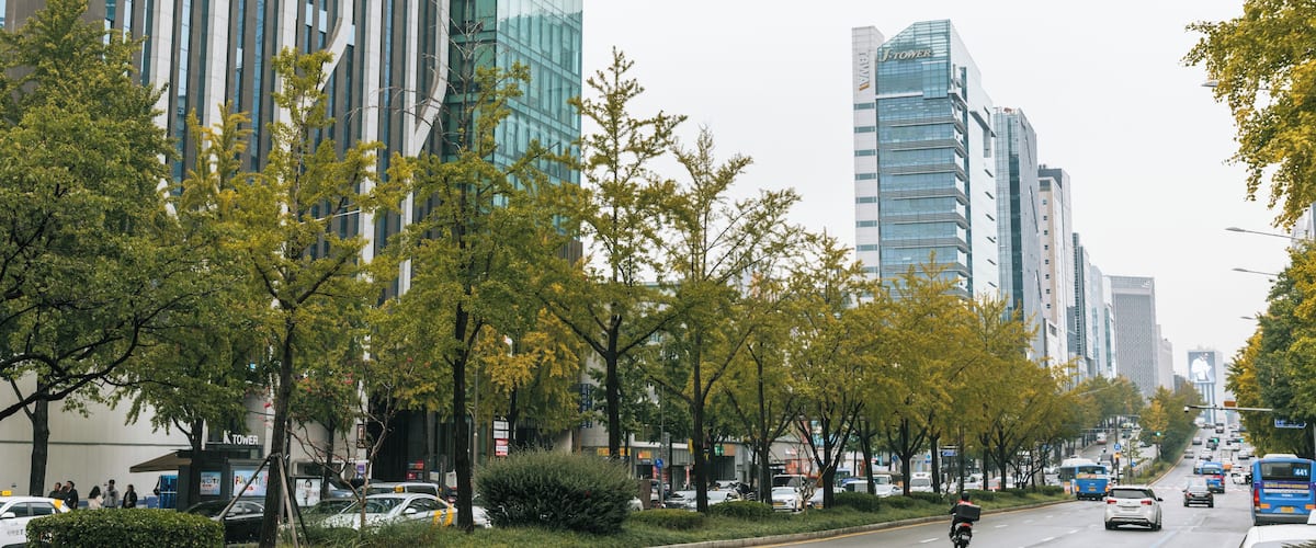 Una calle urbana flanqueada por edificios modernos y árboles.