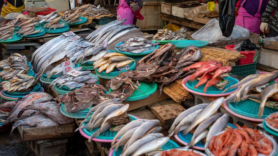大韓民国 釜山 チャガルチ市場