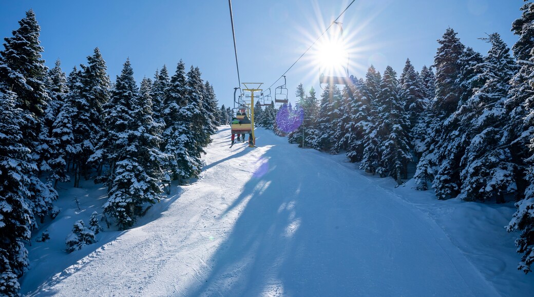 Cable car on the ski slope of Uludağ National Park in Bursa