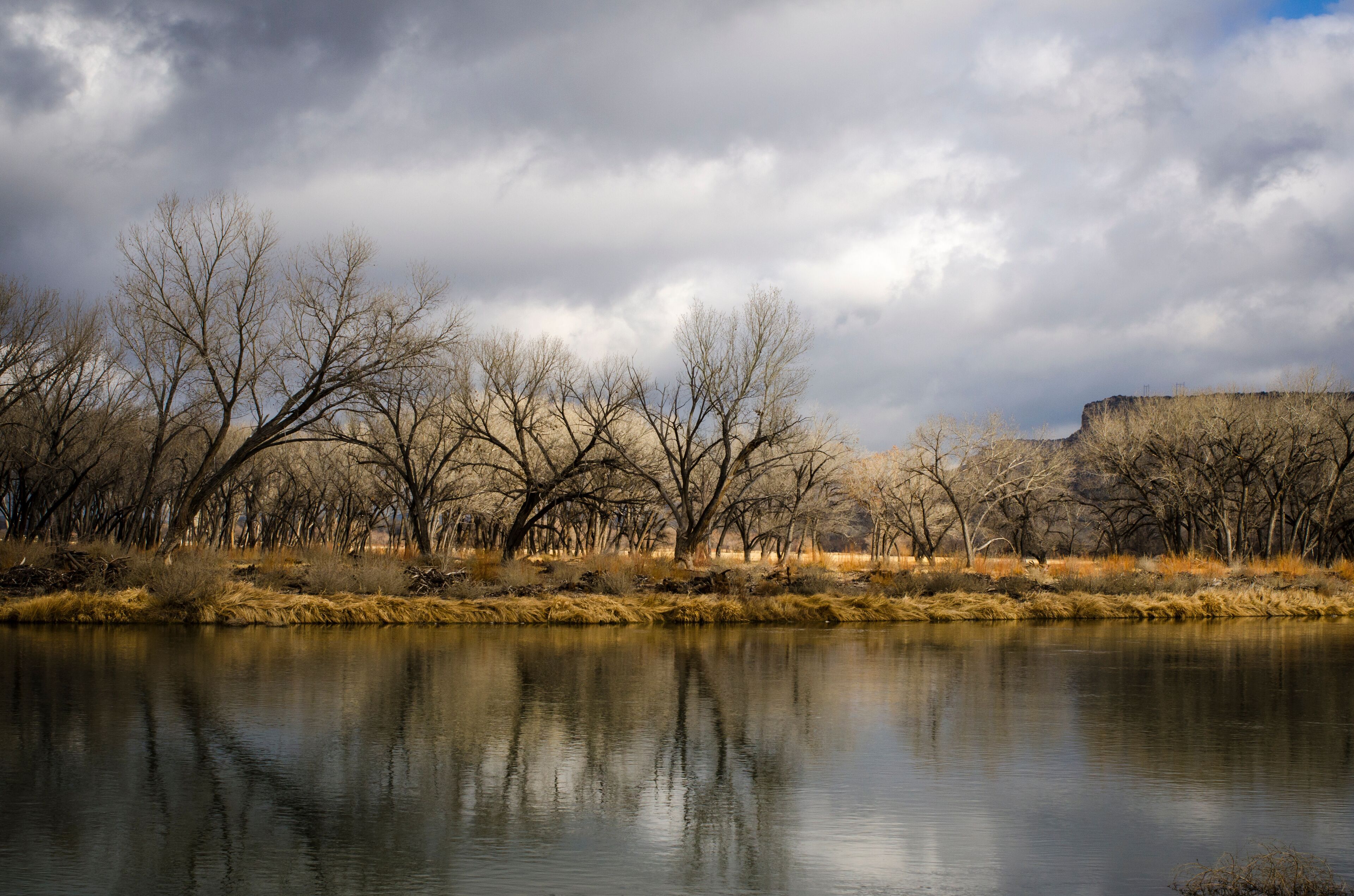 Navajo Dam